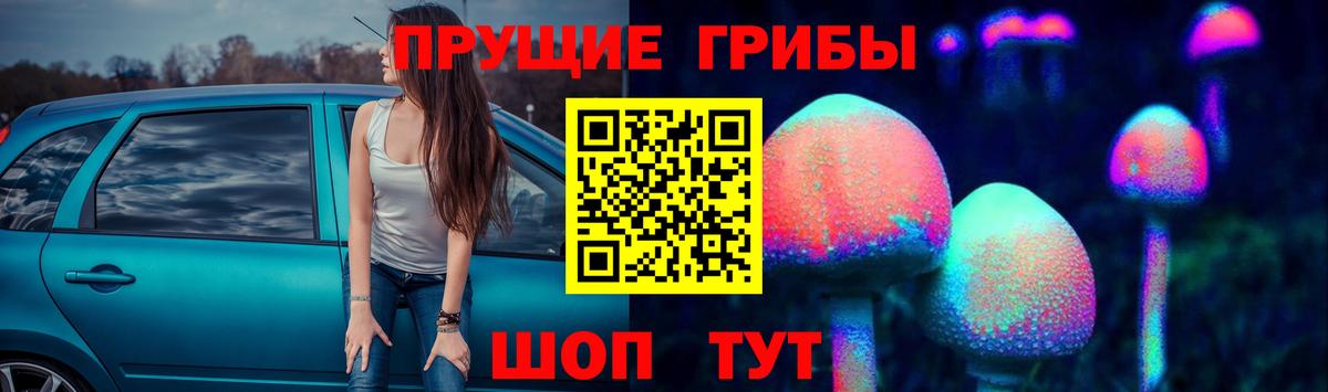 Похвистнево  Галлюциногенные грибы Psilocybine cubensis  Вход с VPN 